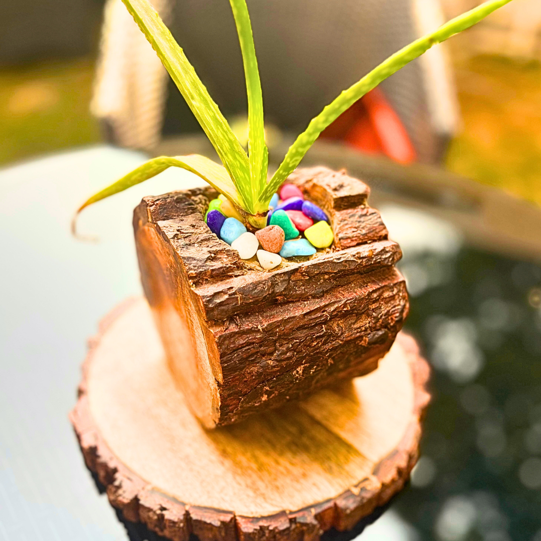 Rustic Logline wooden Planters - Image 2