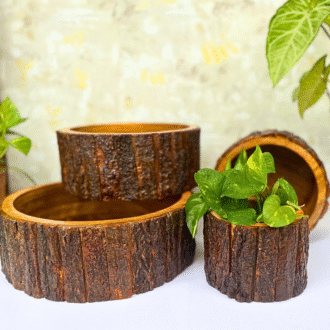 Large Rustic Wooden Bowls( Set of 4)