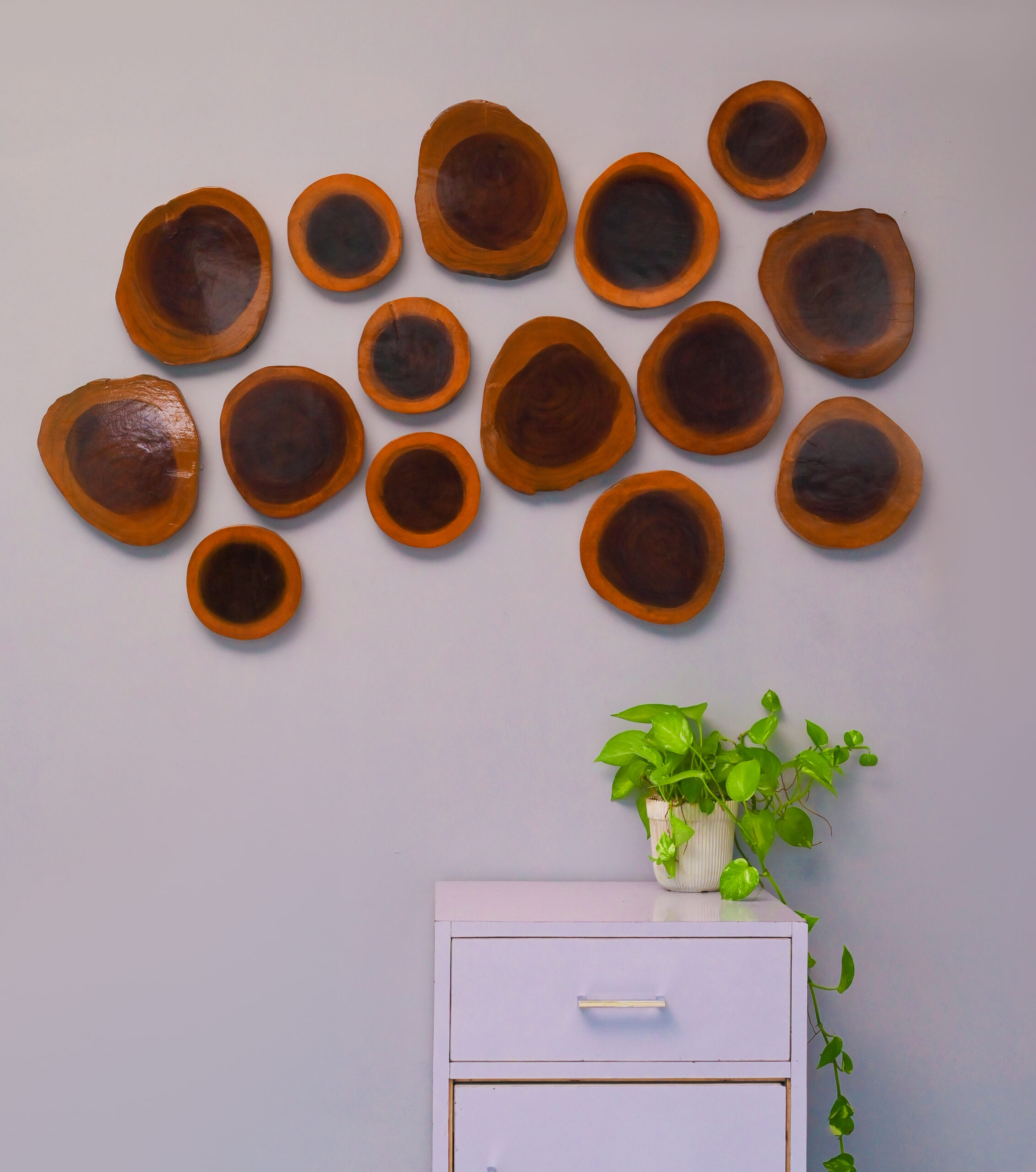 Wooden Wall Plates Decor Set - Image 4