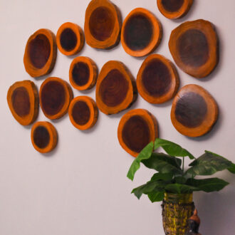 Wooden Wall Plates Decor Set