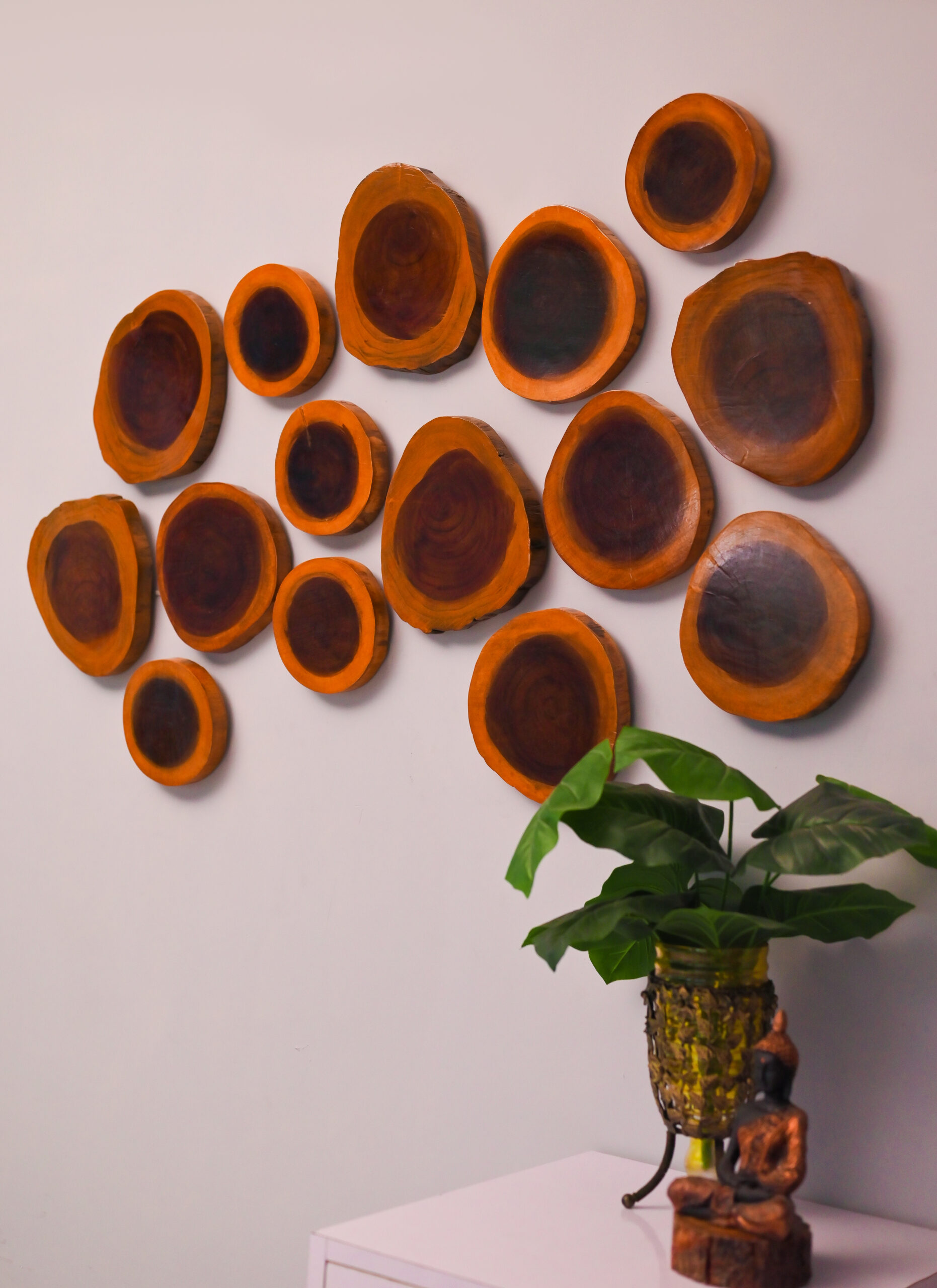 Wooden Wall Plates Decor Set