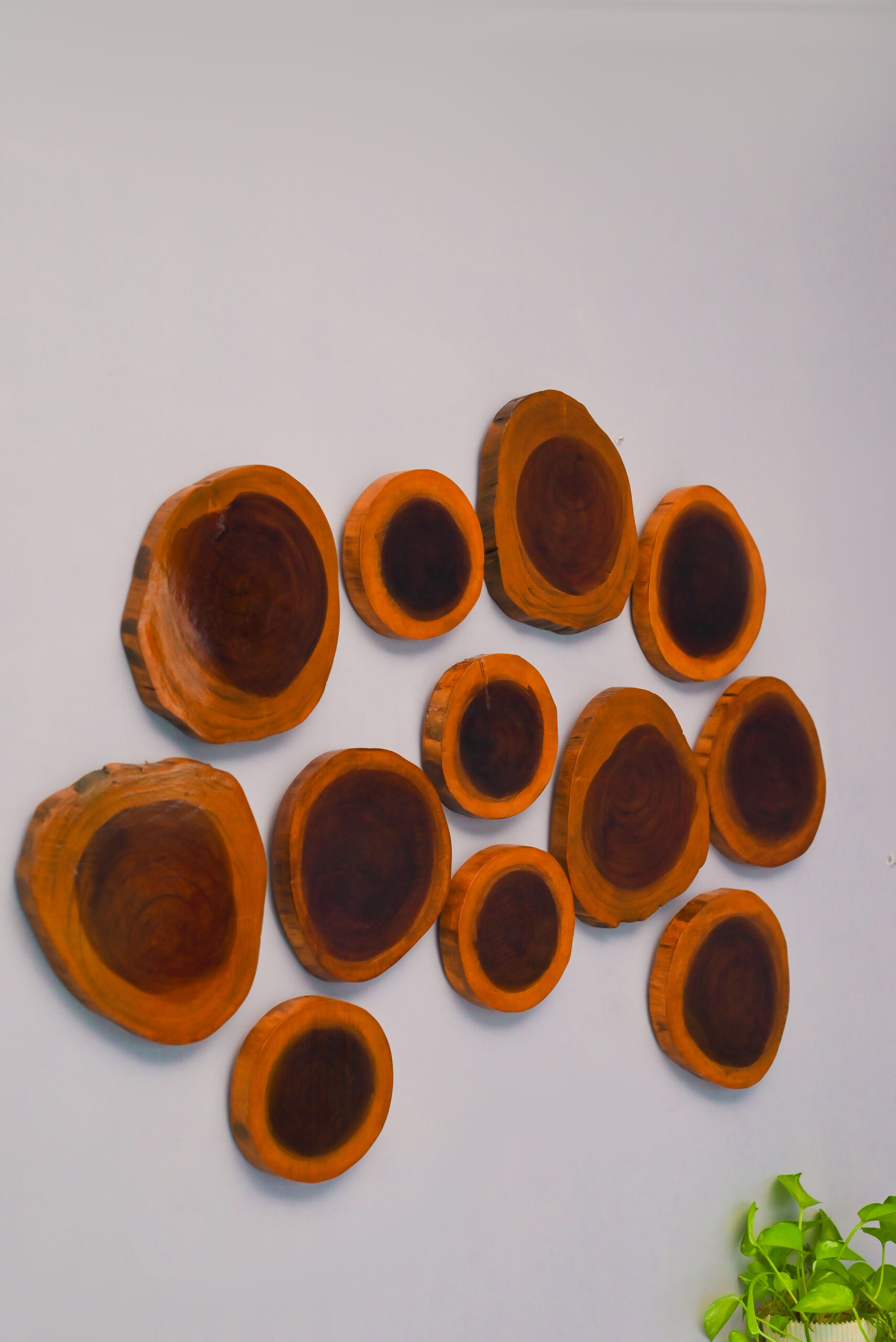 Wooden Wall Plates Decor Set - Image 2